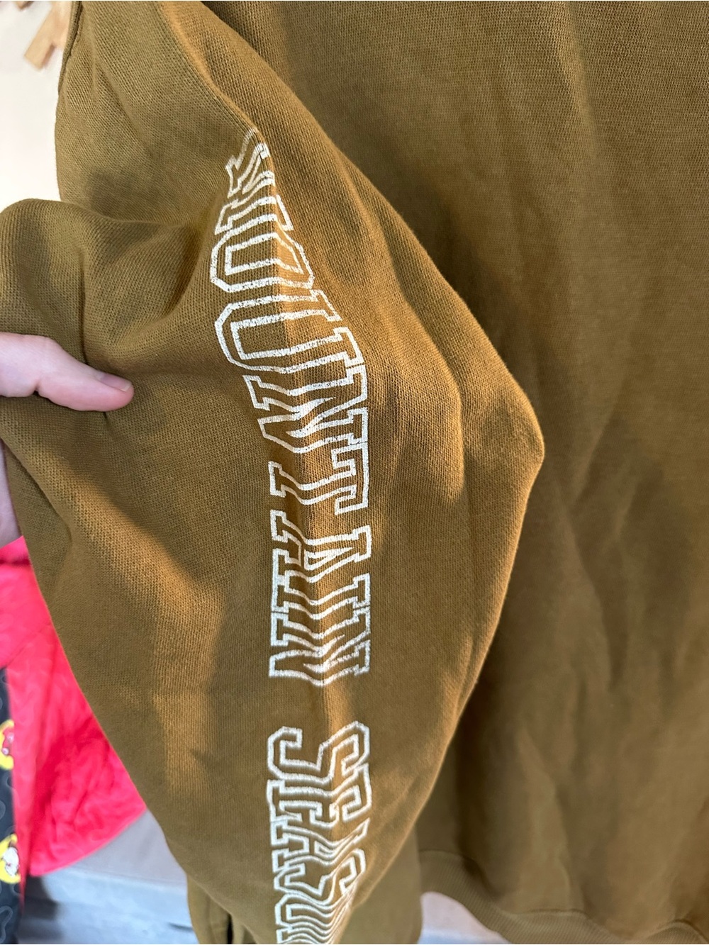 aerie Mountain Season Mock Neck Sweatshirt with White Mountain Graphic - Picture 2 of 6